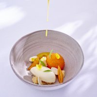 abricot_fleur_d_oranger_00486