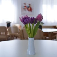 Tomislav Tomašević sa suradnicima otvorio novouređeni odjel u Domu za starije osobe