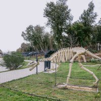 Vodeni i Paleo park Bale