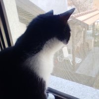 MeanIT X3 - primjeri fotografija