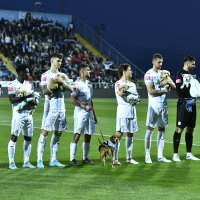 Nogometaši HNK Rijeke izašli na teren s 11 pasa iz azila i podržali akciju Udomi me