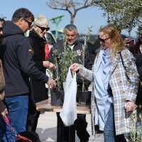 Povodom 100. rođendana  velike hrvatske pjesnikinje Vesne Parun Županijski radio Šibenik podijelio je svojim sugrađanima 100 sadnica maslina