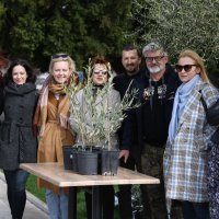 Povodom 100. rođendana  velike hrvatske pjesnikinje Vesne Parun Županijski radio Šibenik podijelio je svojim sugrađanima 100 sadnica maslina