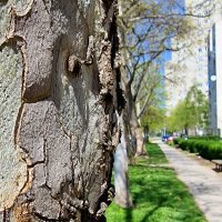 Samsung Galaxy S22 Ultra primjeri fotografija