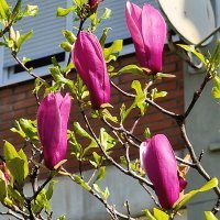 Samsung Galaxy S22 Ultra primjeri fotografija