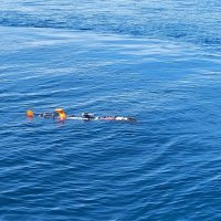 Posjet skupine brodova SNMCMG-2 Hrvatskoj ratnoj mornarici i gradu Dubrovniku