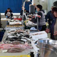 Ponuda ribe na Veliki Petak na šibenskoj ribarnici