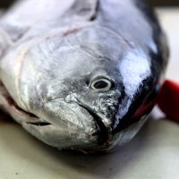 Ponuda ribe na Veliki Petak na šibenskoj ribarnici