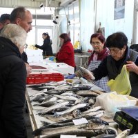 Ponuda ribe na Veliki Petak na šibenskoj ribarnici