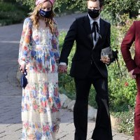 Olivia Wilde i Harry Styles