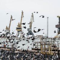 Trgovačka luka u Mariupolju