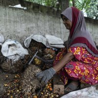 Proizvodnja palmina ulja
