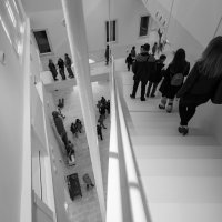 Otvorena Providurova palača