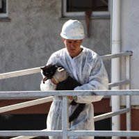 Posljedice raketiranja Odese