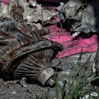 Posljedice raketiranja Odese