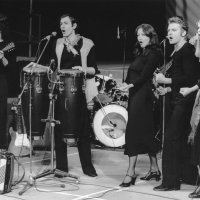 Willi Resetarits i Schmetterlinge na Bečkom festivalu