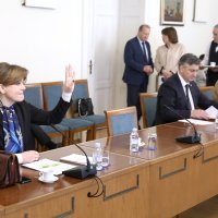 Anja Šimpraga, rasprava na sjednici odbora za Ustav