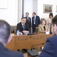 Anja Šimpraga, rasprava na sjednici odbora za Ustav