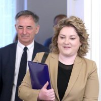 Anja Šimpraga, rasprava na sjednici odbora za Ustav