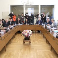 Anja Šimpraga, rasprava na sjednici odbora za Ustav