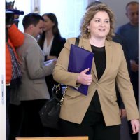 Anja Šimpraga, rasprava na sjednici odbora za Ustav