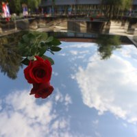 Zoran Milanović, Andrej Plenković i Gordan Jandroković na obilježavanju obljetnice akcije Bljesak