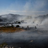 Požar na planini Čabulji kod Mostara