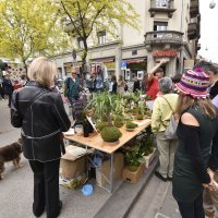 Projekt Ilica: Q'ART