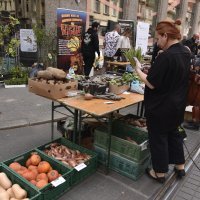 Projekt Ilica: Q'ART