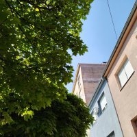 Honor Magic4 Lite primjeri fotografija