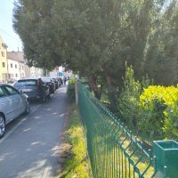 Honor Magic4 Lite primjeri fotografija