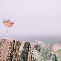 Slavonija i Baranja - Efekt media