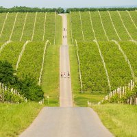 Slavonija i Baranja - Nenad Milić (2)