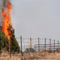 Požar u Novom Meksiku
