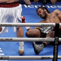 Zhilei Zhang - Scott Alexander