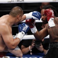 Zhilei Zhang - Scott Alexander