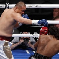 Zhilei Zhang - Scott Alexander