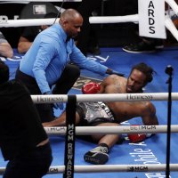 Zhilei Zhang - Scott Alexander