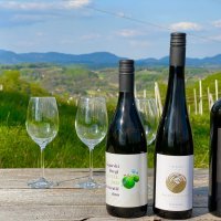 Vinogradi Prekratić 00