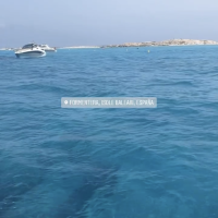 Dina Dragija djevojačka