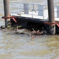 Mjesto na Dunavu gdje je pronađeno tijelo za koje se sumnja da je Matej Periš