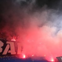 Bakljada Boysa