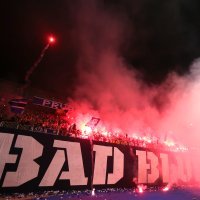 Bakljada Boysa