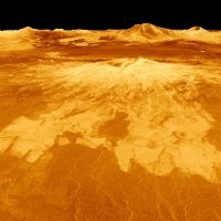 Venera
