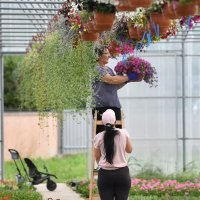 Mještani još zbrajaju razmjere štete koju je tuča nanijela jučer u Velikom Bukovcu