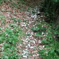 Tuča u Humu na Sutli