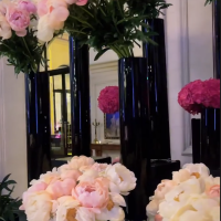 Fani Stipković u Parizu