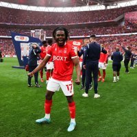 Nottingham Forest se nakon 23 godine vratio u Premier ligu
