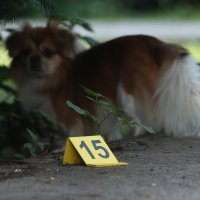 Eksplozija bankomata u Folnegovićevom naselju