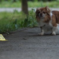 Eksplozija bankomata u Folnegovićevom naselju